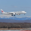 CTS 19L Short final