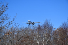 Clear to land 19L