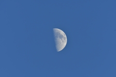 The first quarter moon in the blue sky
