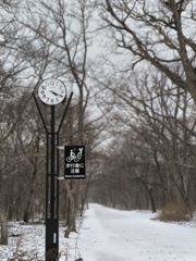 なごり雪