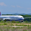 森の中の華航