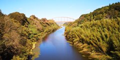 彩りの架け橋