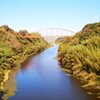 彩りの架け橋