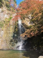 紅葉の滝