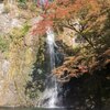 紅葉の滝