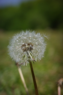 R0000681
