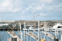 DSCF1660