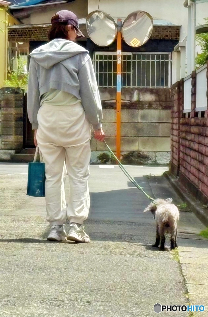木陰まで伴歩