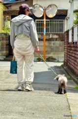 木陰まで伴歩