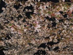 P1014753