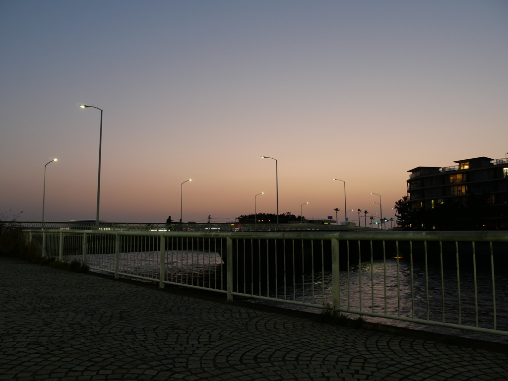 P1013005