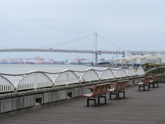 P1013677