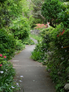 P1015669