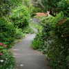 P1015669