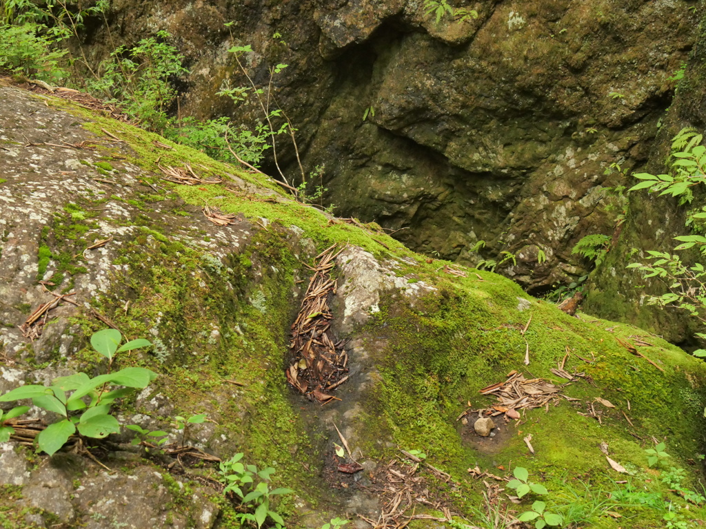 P1062867