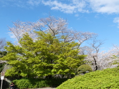 P1013910
