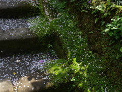 P1014112