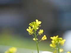 P1011847