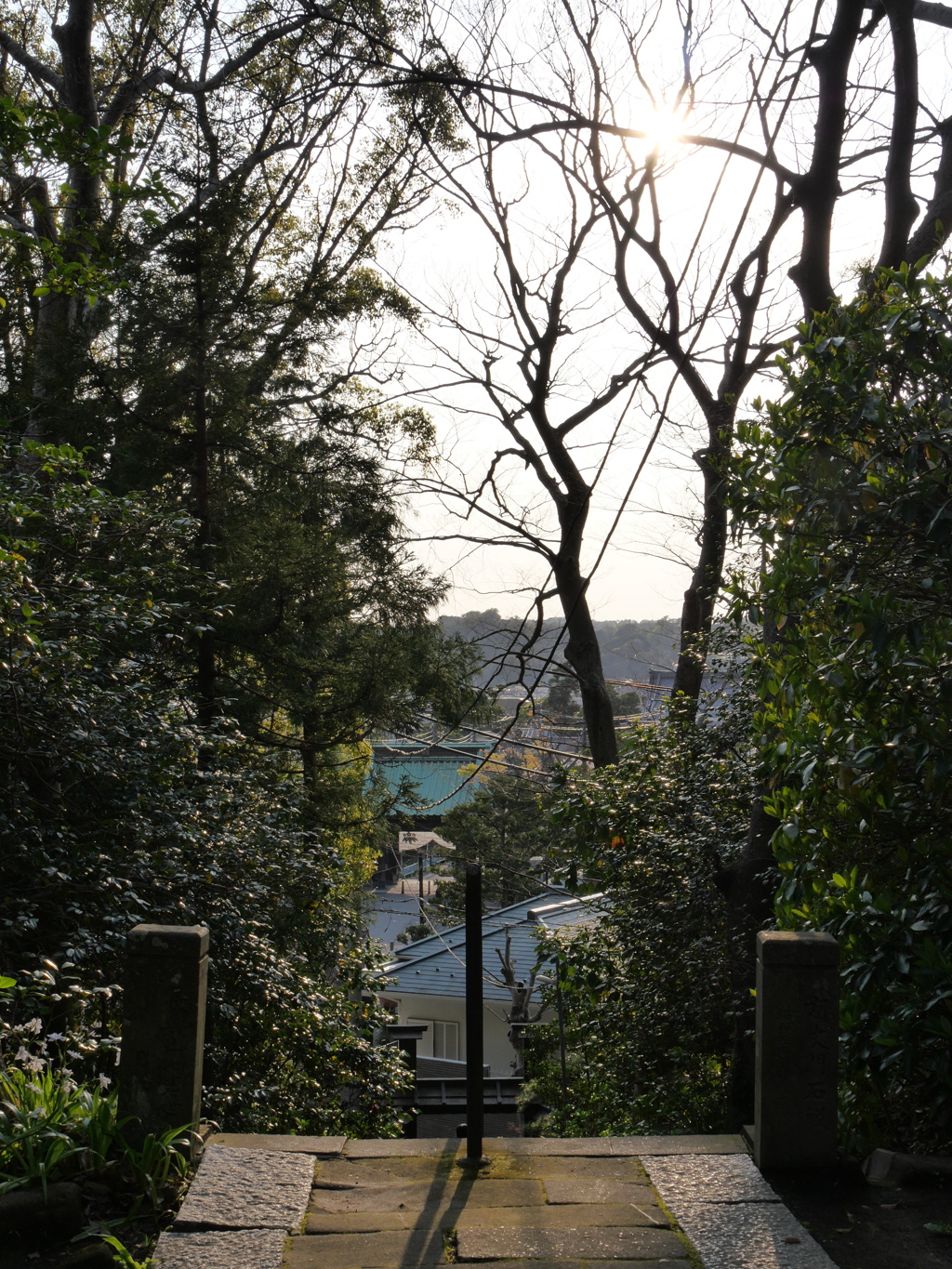 P1014565