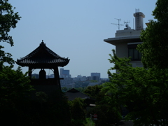 P1014989