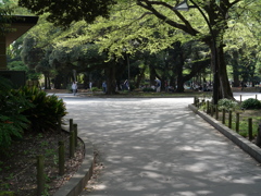P1015172