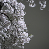 P1013125