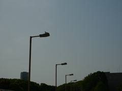P1015143