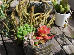 P1013320