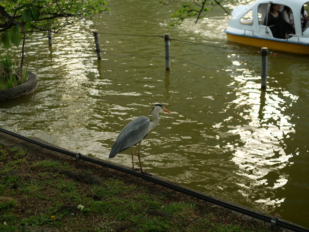 P1015504
