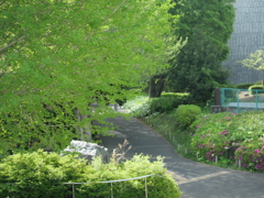 P1015152