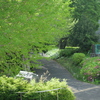 P1015152