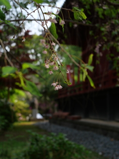 P1015257