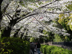 P1013854