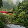 P1015888