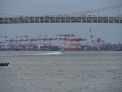 P1013680