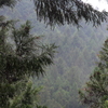 P1015821