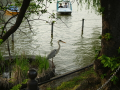 P1015500