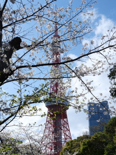 P1013851