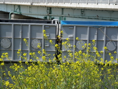 P1011860