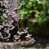 P1014213