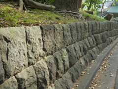 P1015339