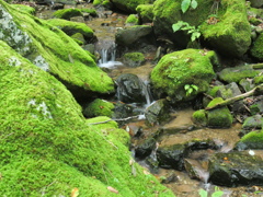 P1062922