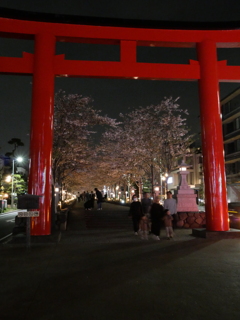 P1014801