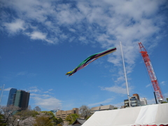 P1013900