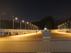 P1015602