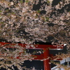 P1014796