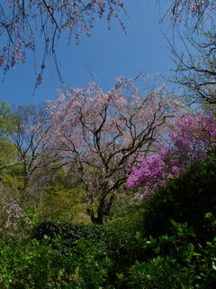 P1014290