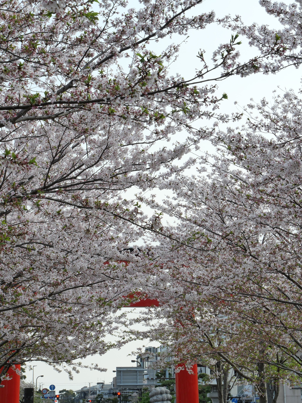 P1014544