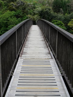 P1015678