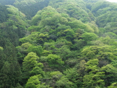 P1015760